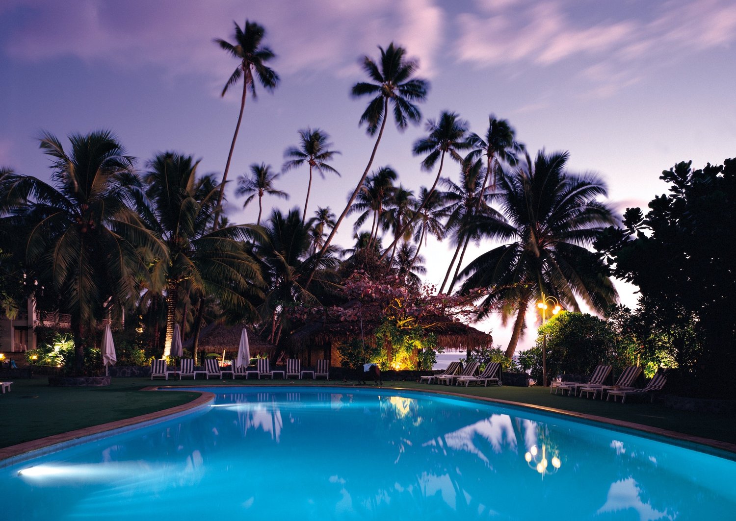 a pool with palm trees and a beach in the background